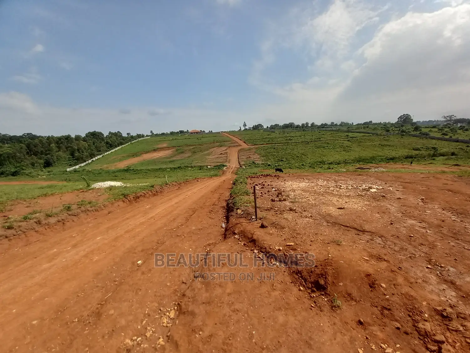 Kasangati 100*100 Gated Land on Sale in Nangabo