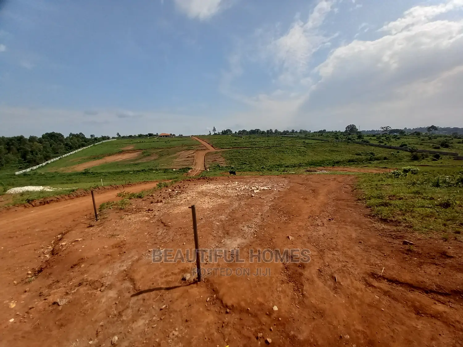 Kasangati 25 Decimals Gorgeous Estate on Sell in Kira