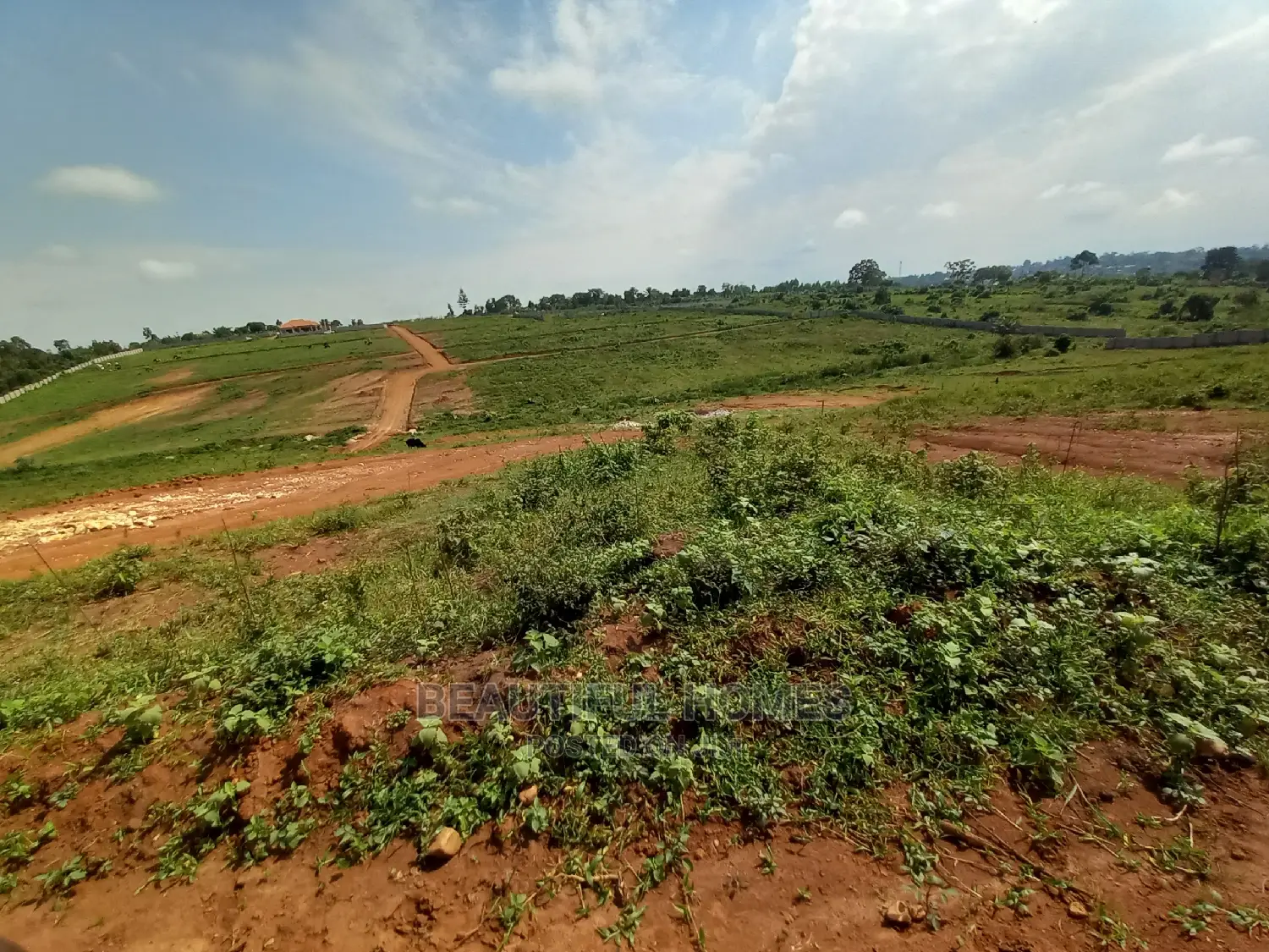 Kasangati 25 Decimals in Tarmacked Neighborhood in Kira