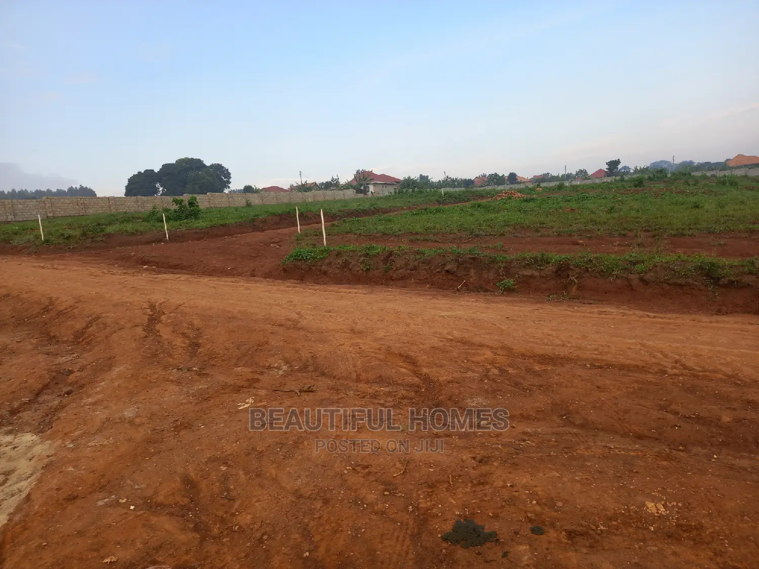 Kasangati 25 Decimals With Perfect Shape on Sell in Kira