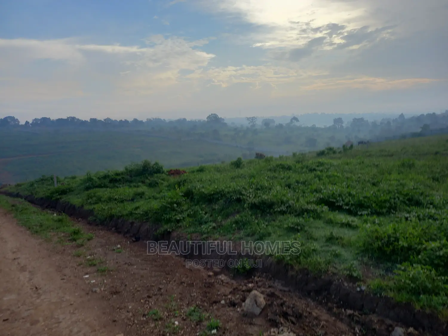 Kasangati 25 Decimals Residential Land on Sell in Nangabo