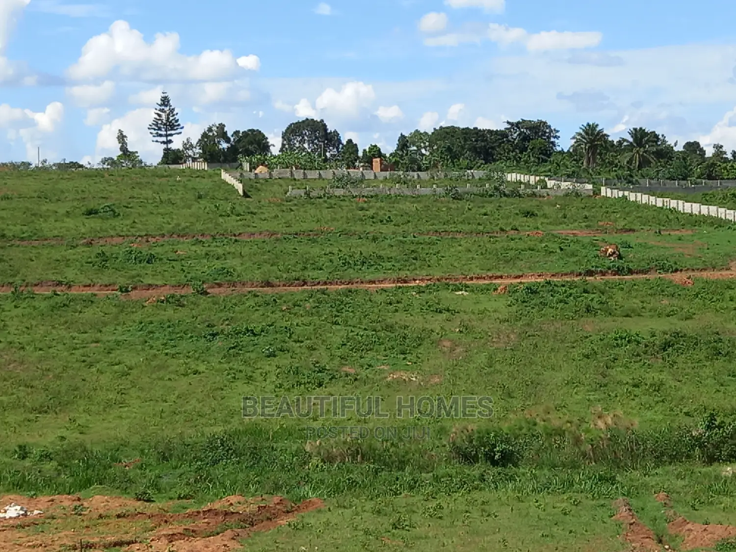 Hot,Kasangati 25 Decimals Fenced on Sale in Kira