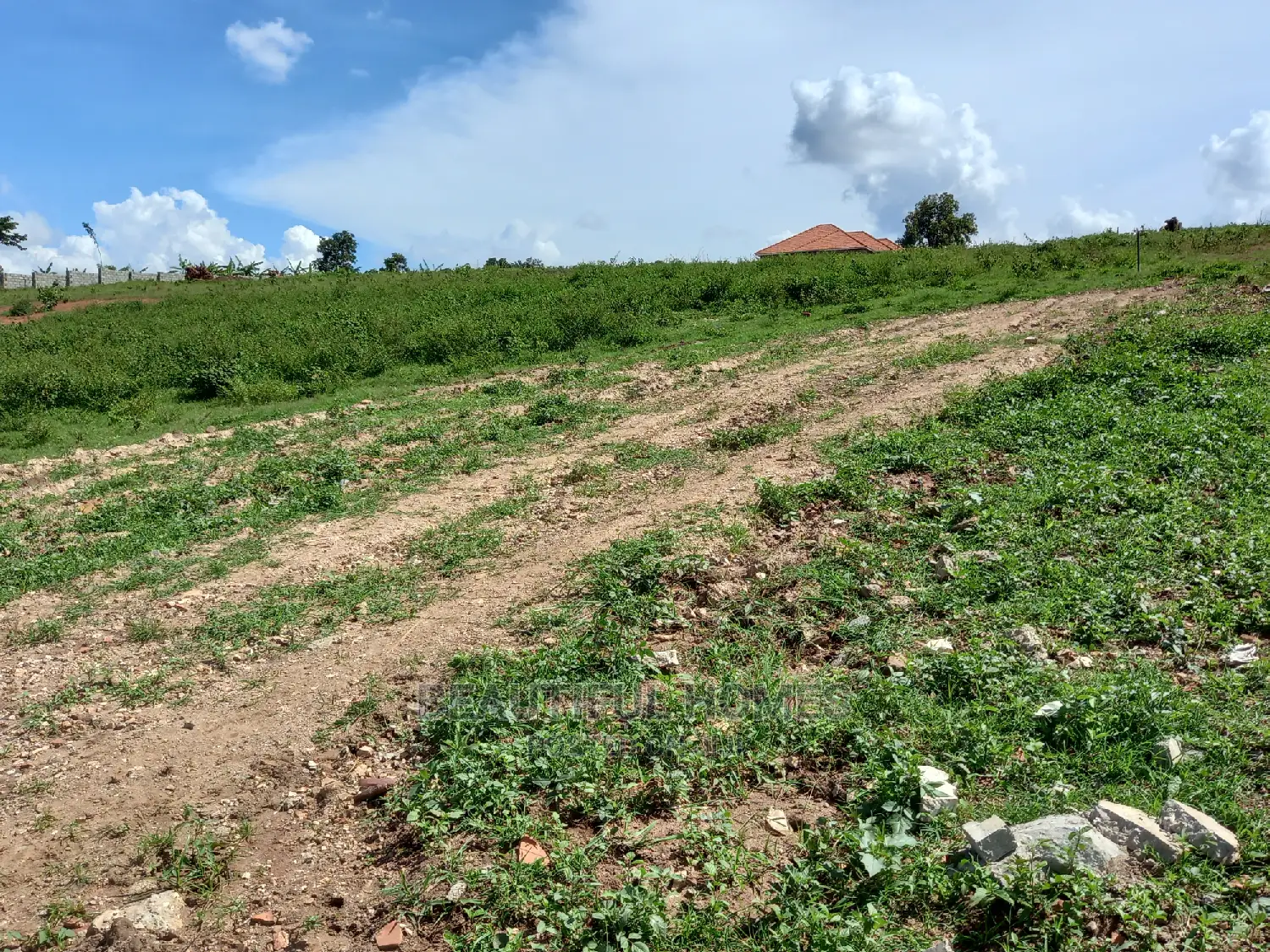 Kira Private Mailo Land on Sell in Kira
