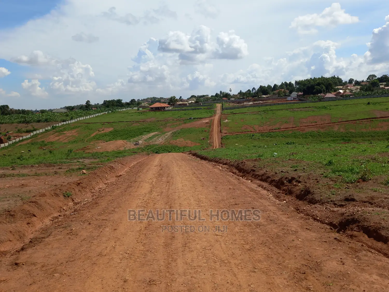 Hot,25 Decimals in Kasangati on Sell in Kira