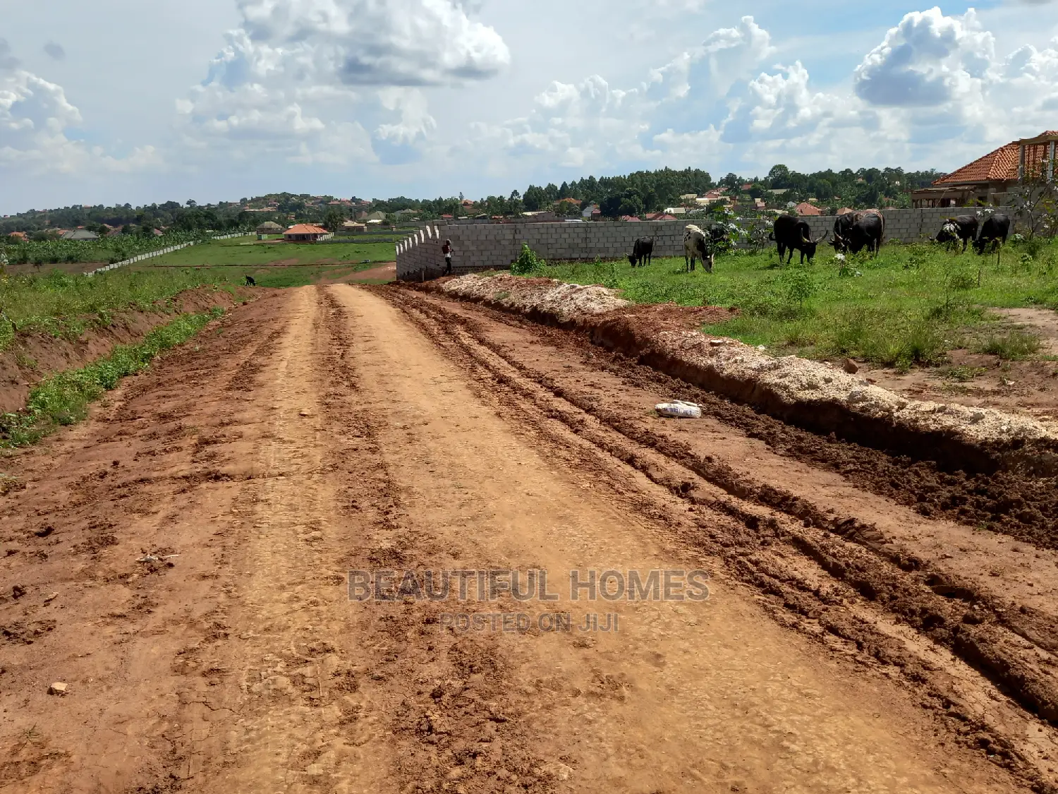 Kasangati Super 25 Decimals Gated on Sell in Kira