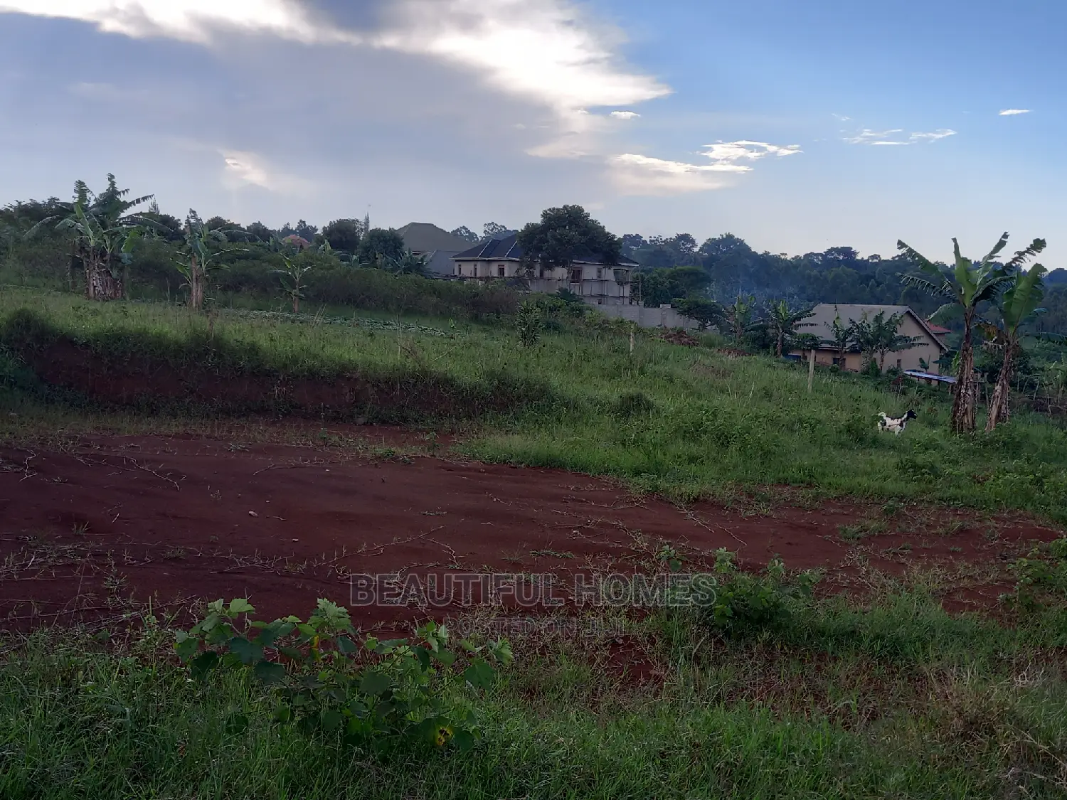 Kira Posh Plots on Sell in Kira
