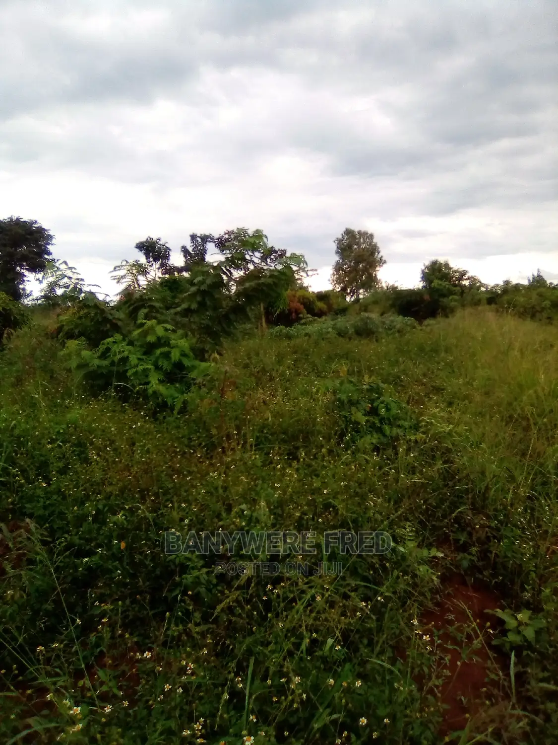 25acres of Farmland for Sale in Wakatayi in Zirobwe