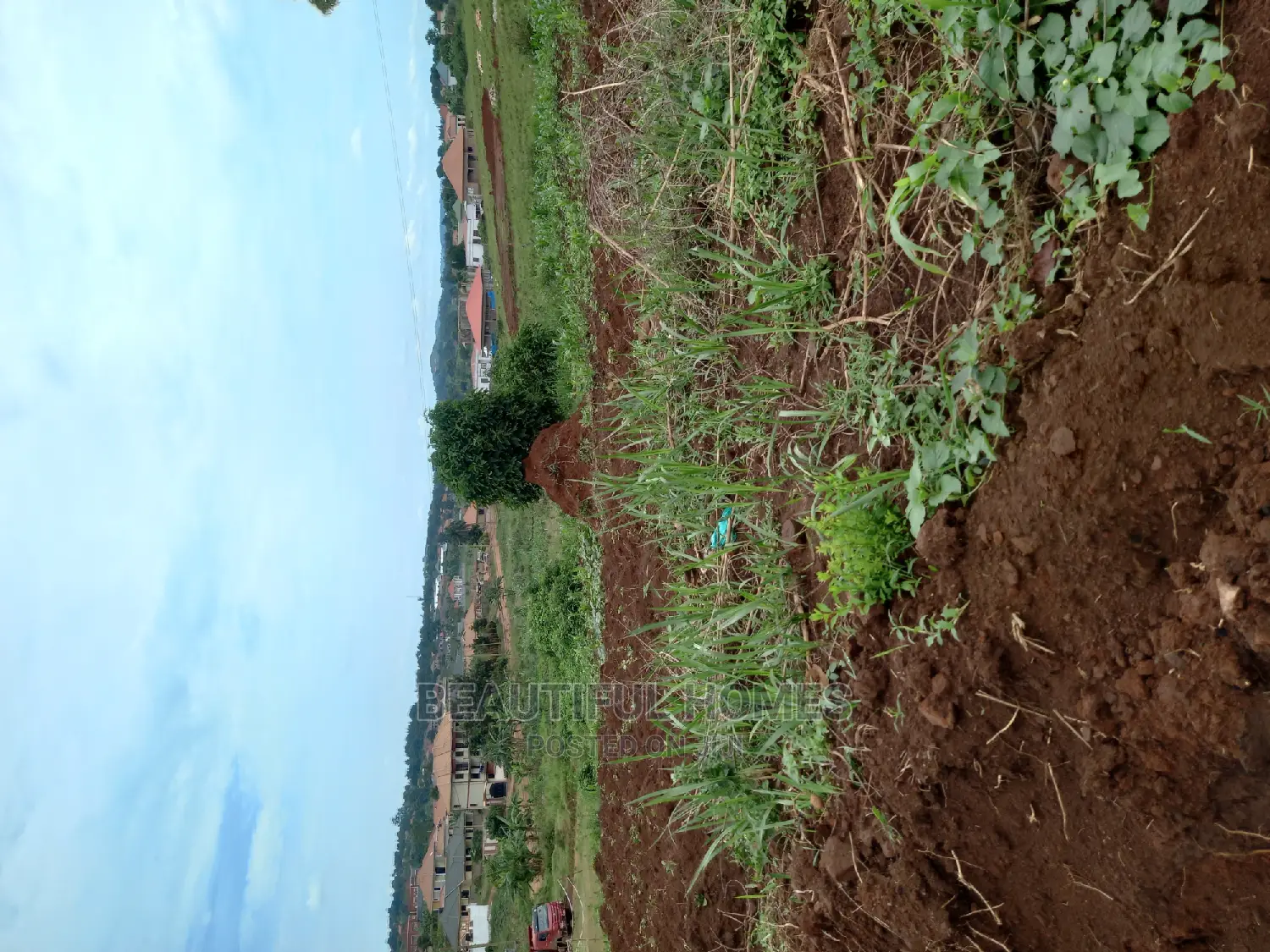 Kira Good Estate Plots on Sell in Kira