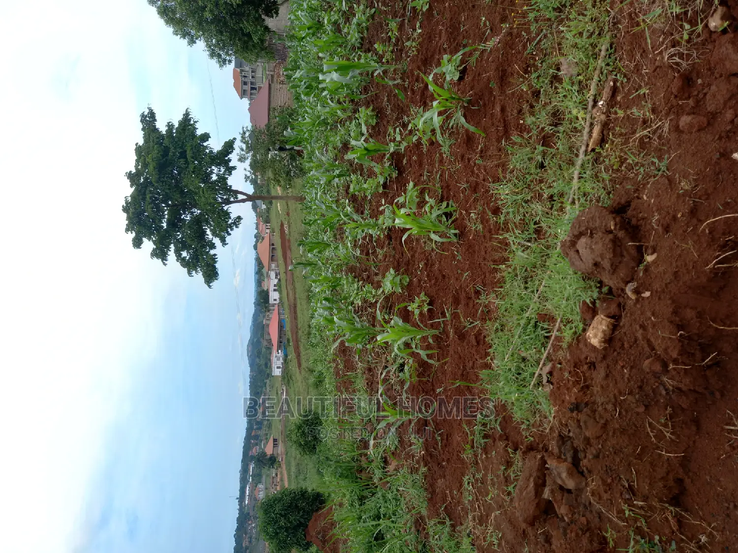 Kira Good Viewing Plot on Sell in Kira