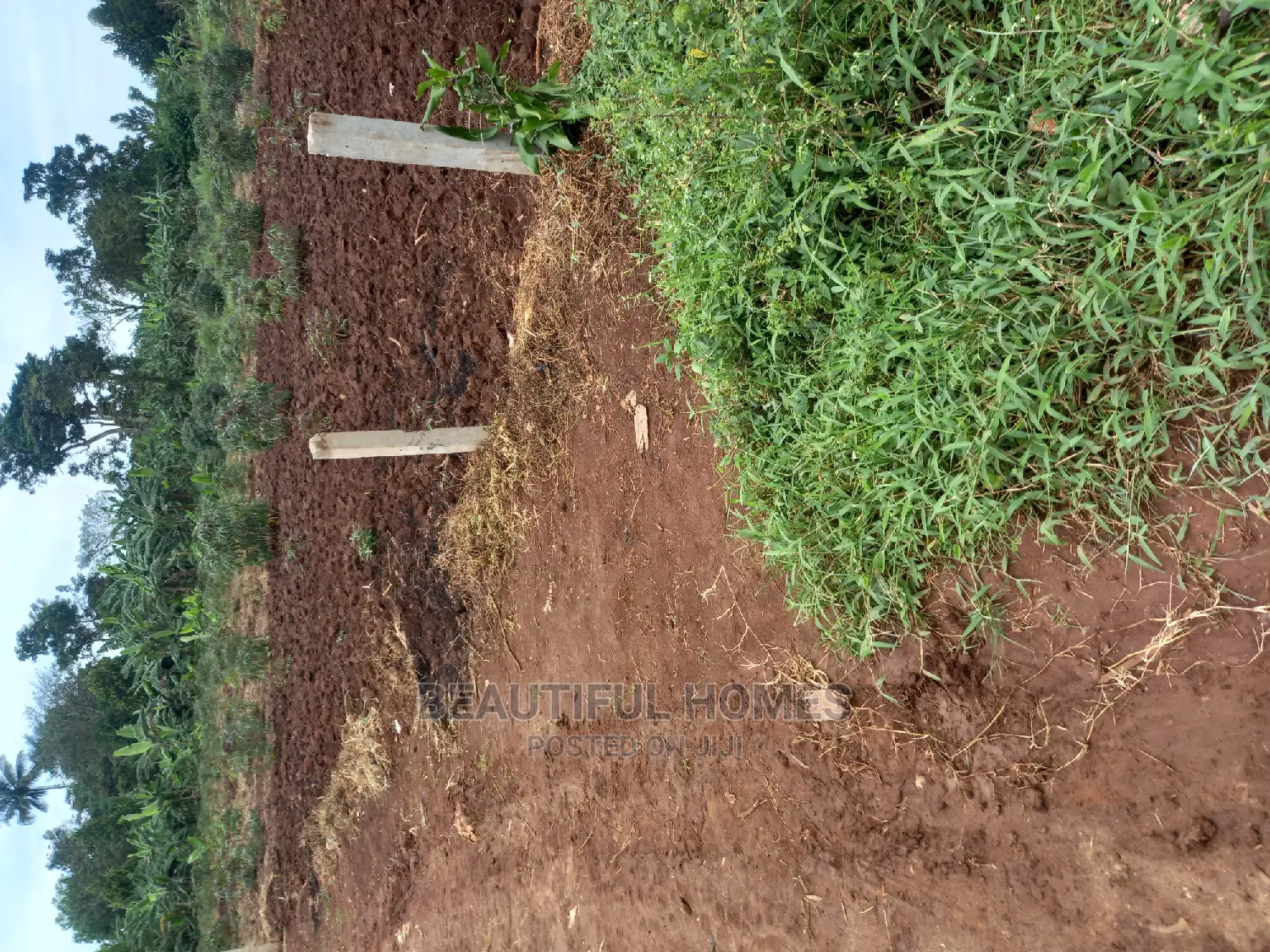 Nakwero Plot for Sell in Kira
