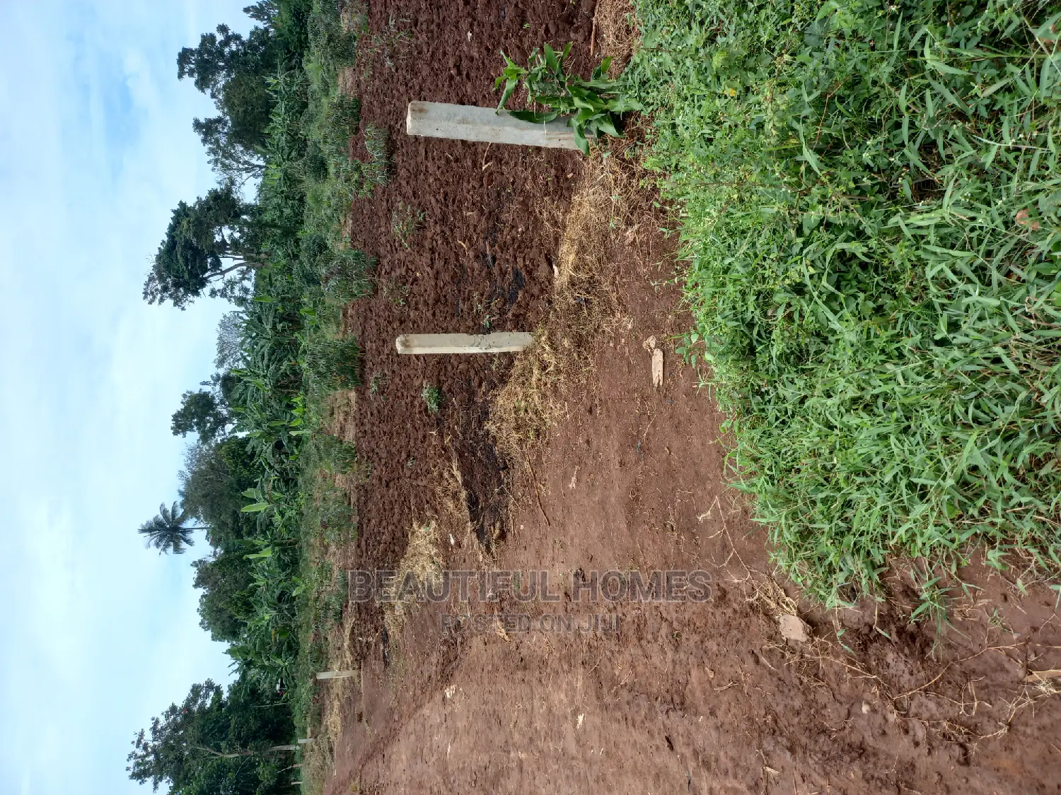 Plot at Nakwero on Sell in Kira