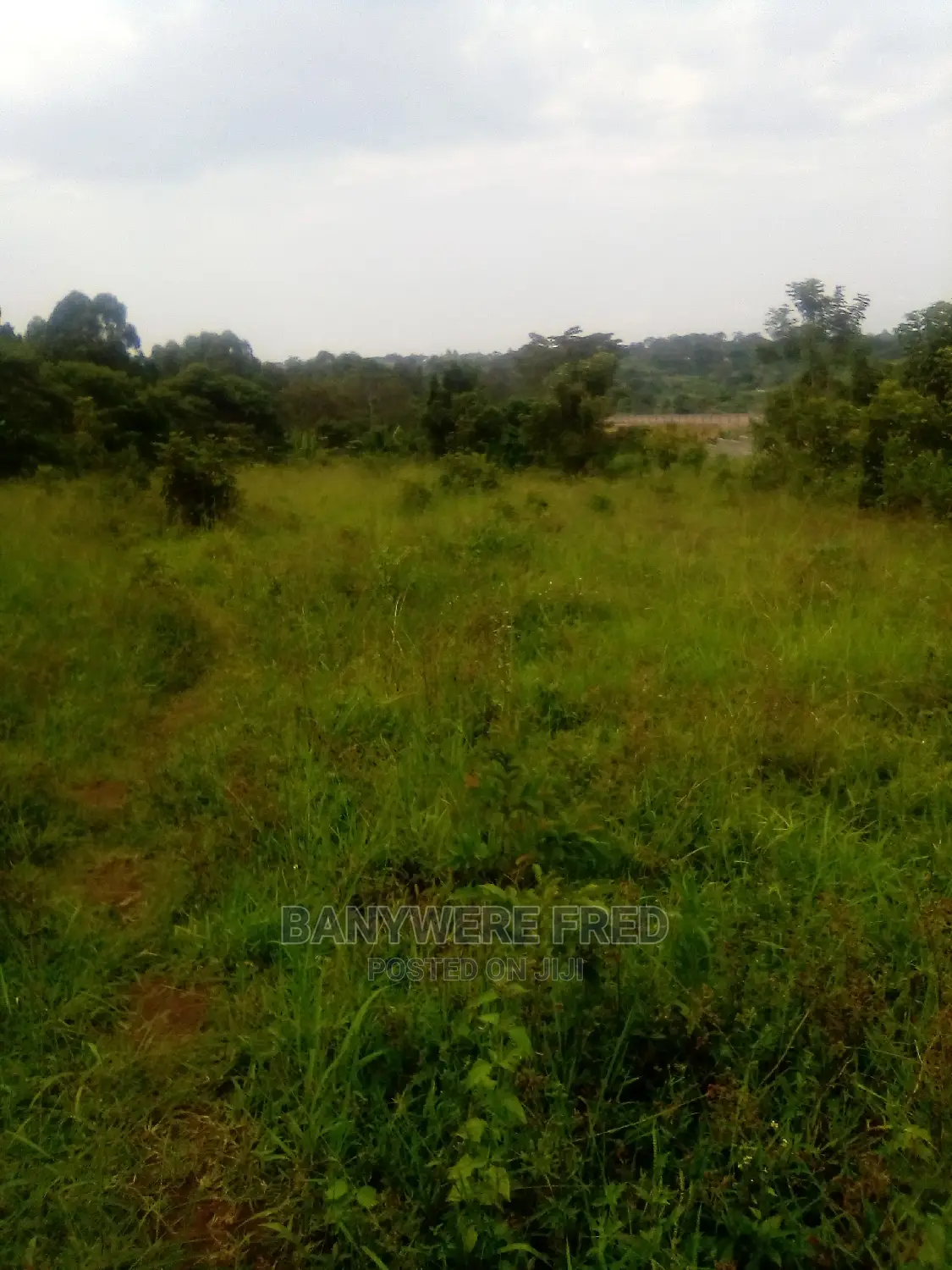 100/100 Plot for Sale in Kiyuga Near Kalagi in Kyampisi