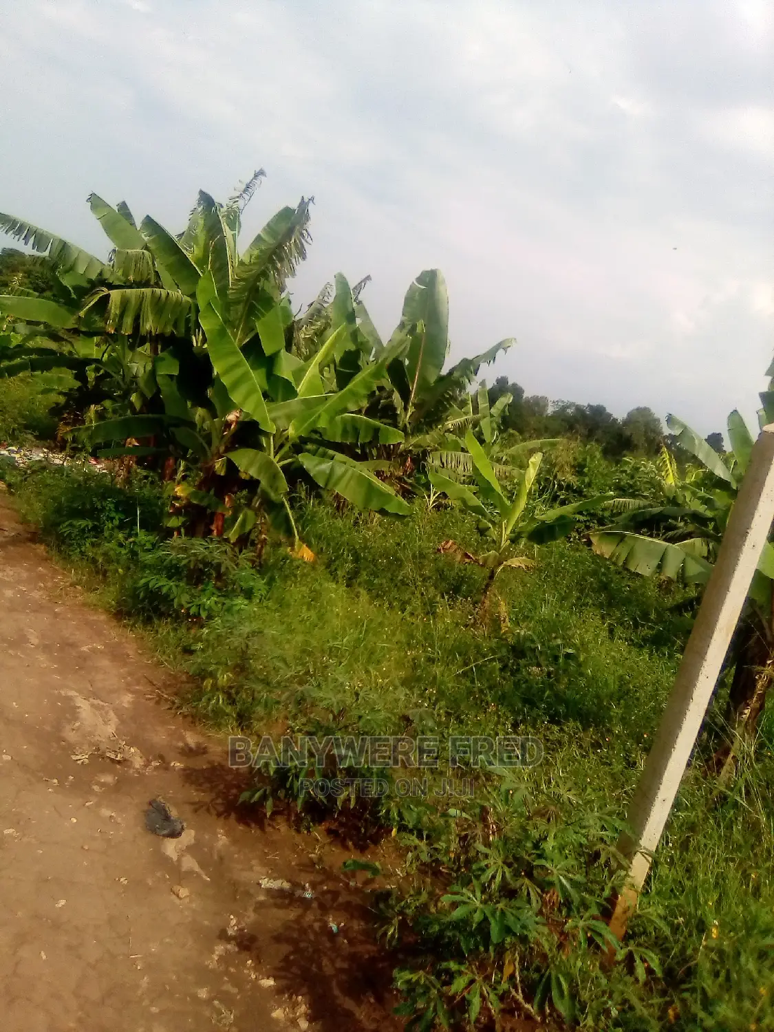 1acre of Land for Sale in Dudu in Kyampisi
