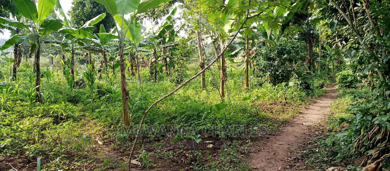 Land for Sale in Kiwenda in Central Division