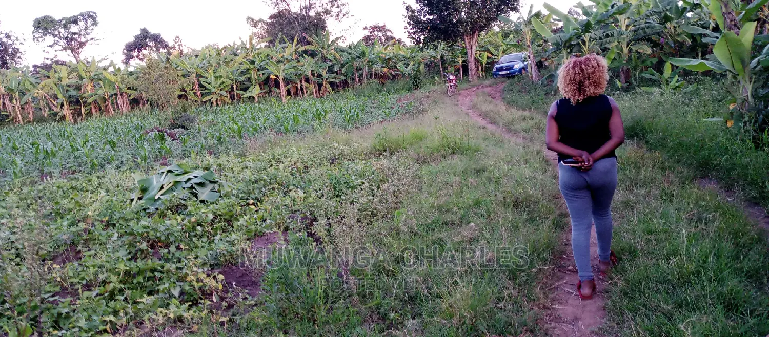 10acres of Land for Sale in Zirobwe in Central Division