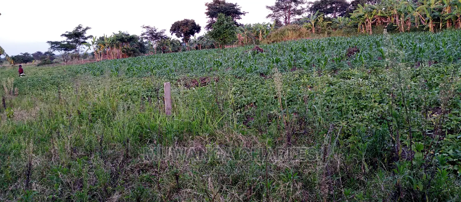 10acres of Land for Sale in Zirobwe in Central Division