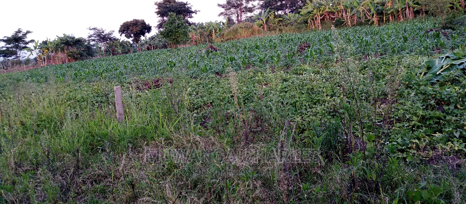 10acres of Land for Sale in Zirobwe in Central Division