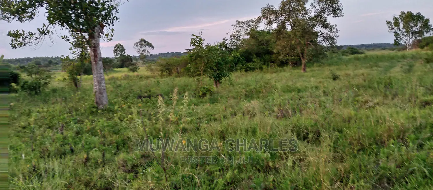 10acres of Land for Sale in Zirobwe in Central Division