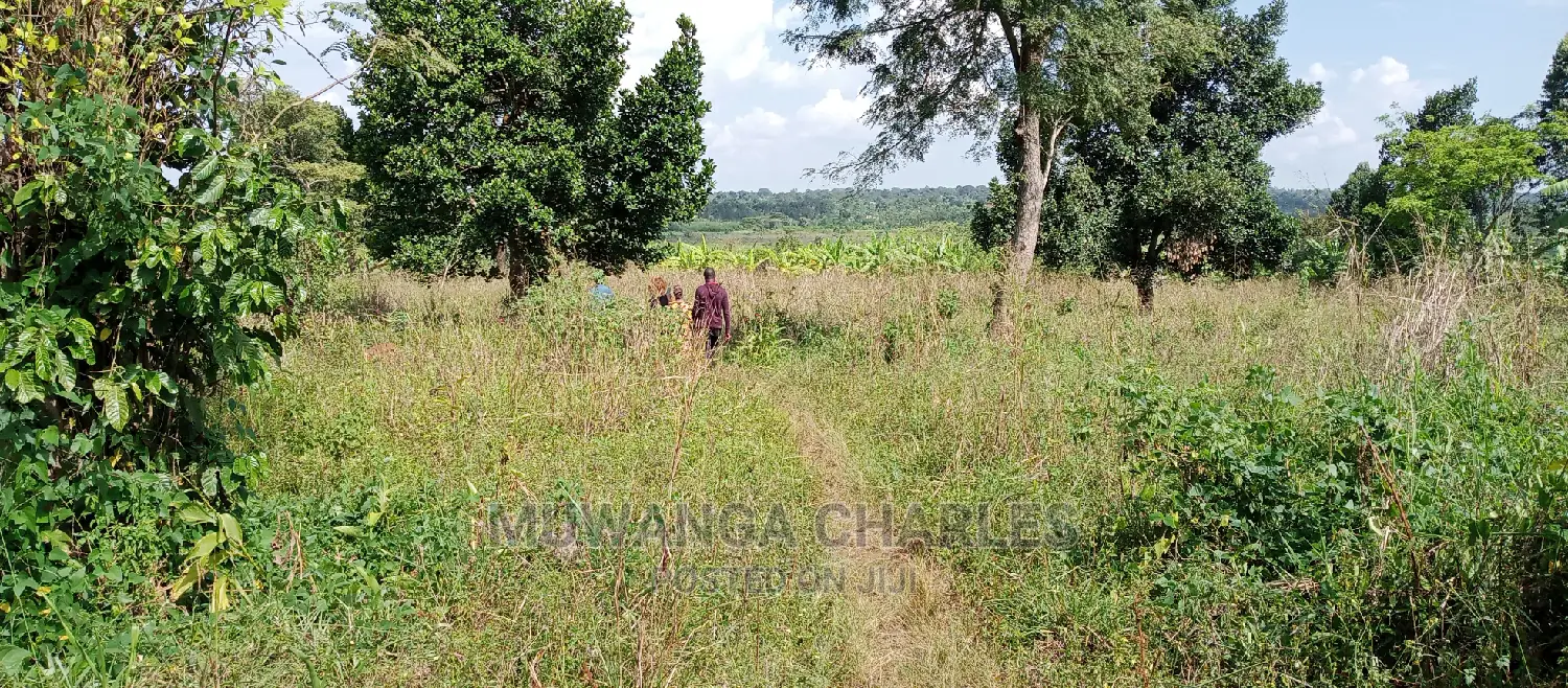 Plot Is Available for Sale in Zirobwe in Central Division