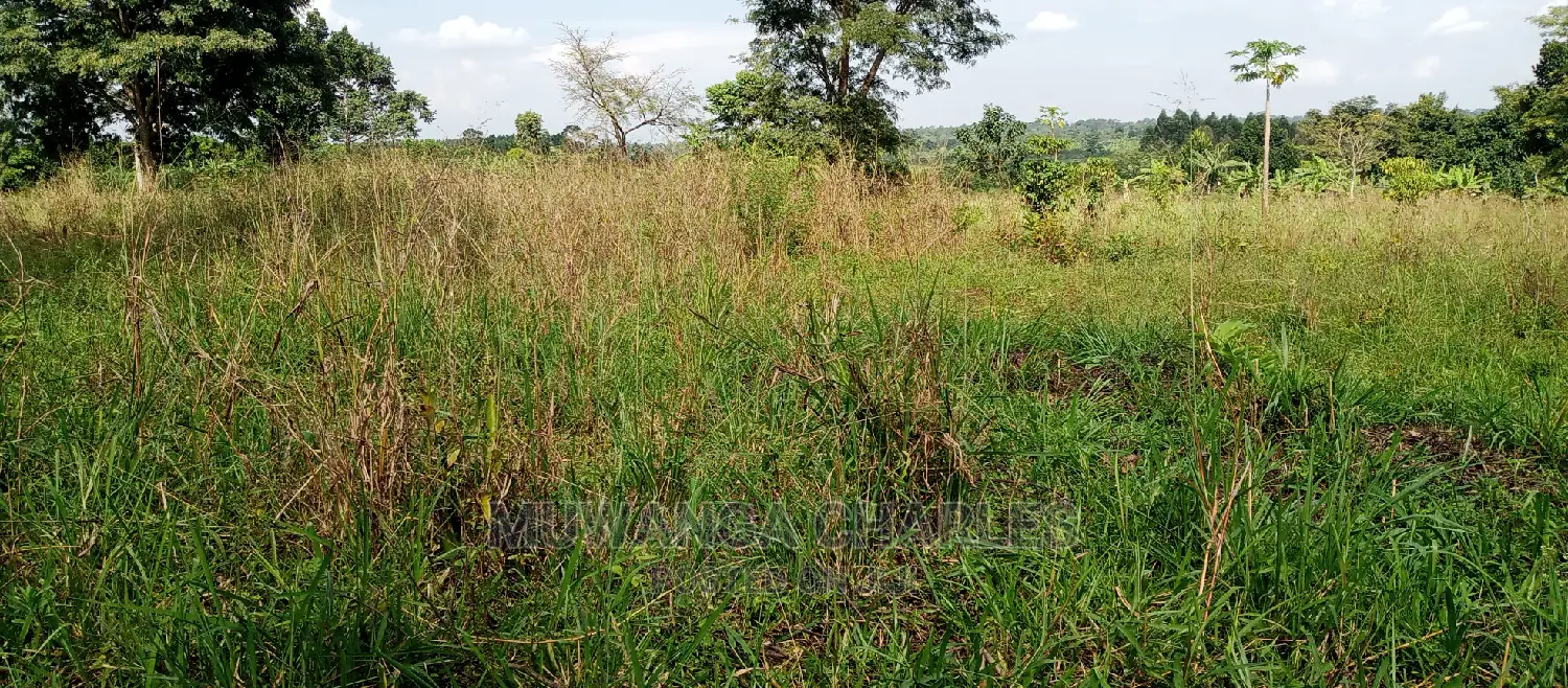Plot Is Available for Sale in Zirobwe in Central Division