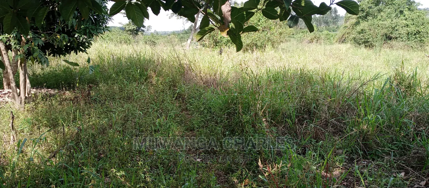 5acres Is Available for Sale in Zirobwe in Central Division