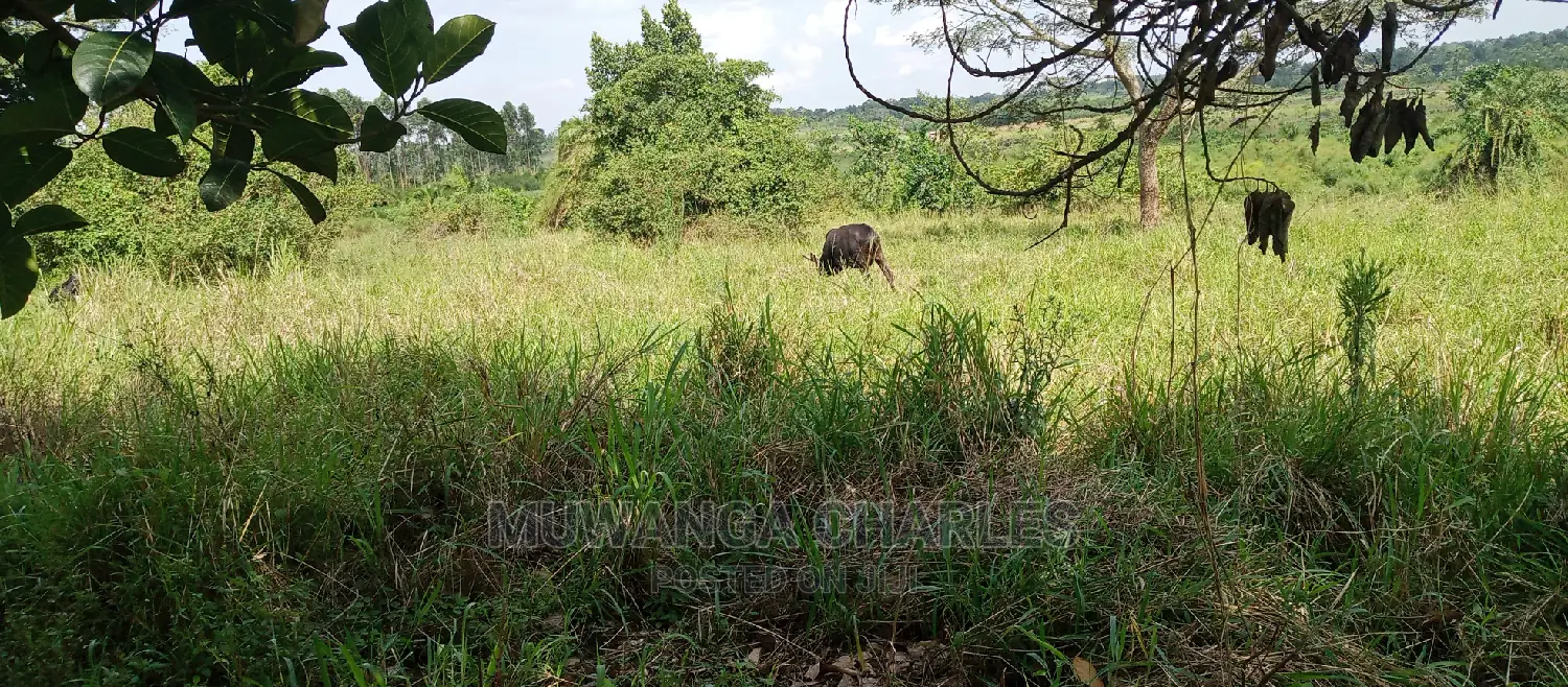 5acres Is Available for Sale in Zirobwe in Central Division
