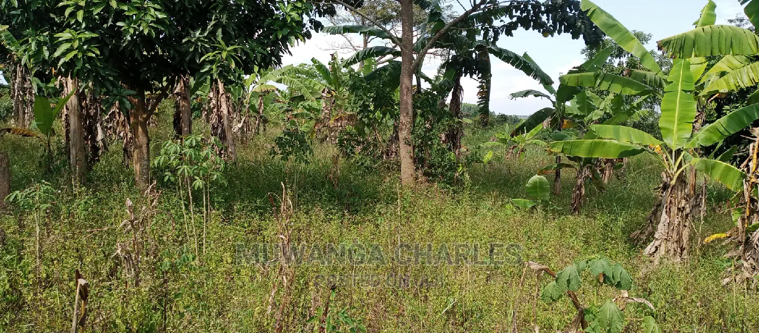 5acres Is Available for Sale in Zirobwe in Central Division