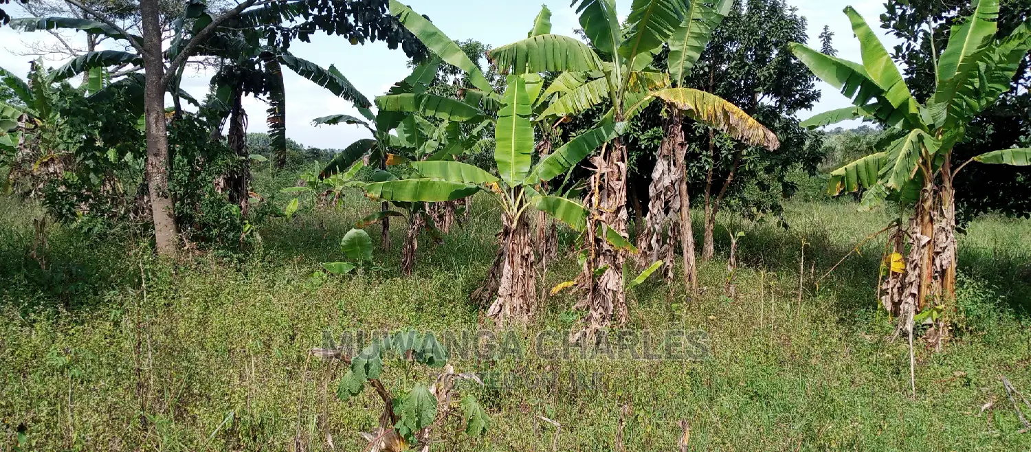 5acres Is Available for Sale in Zirobwe in Central Division
