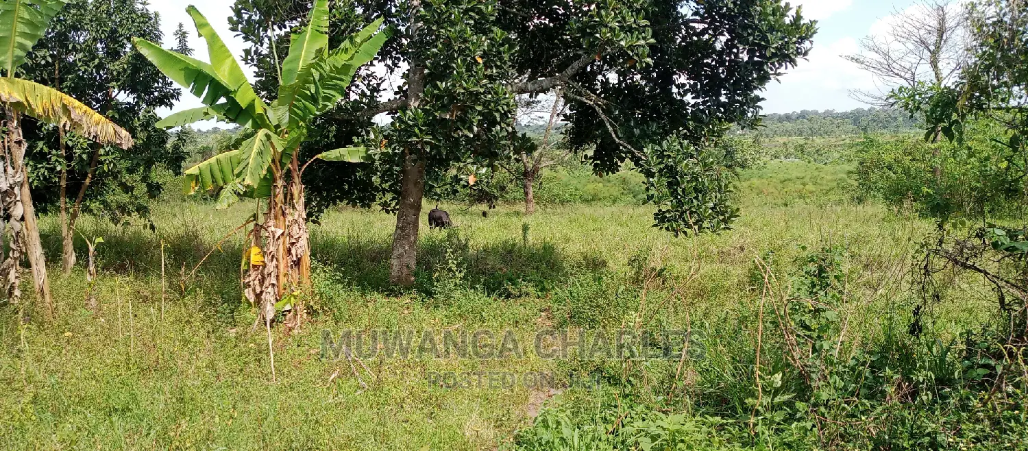 5acres Is Available for Sale in Zirobwe in Central Division