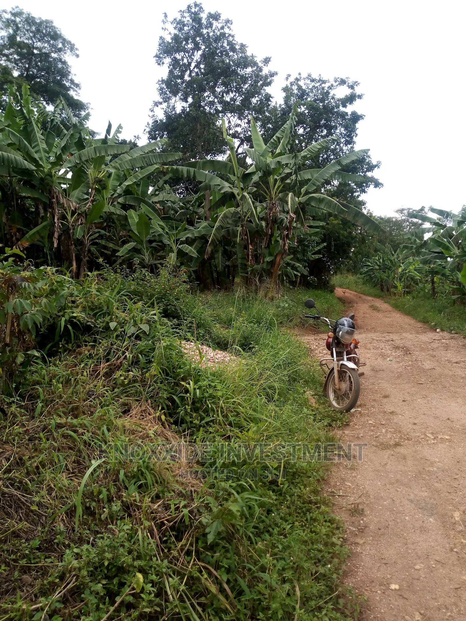 Plot for Sale 70x20ft in Wakiso / Wakiso