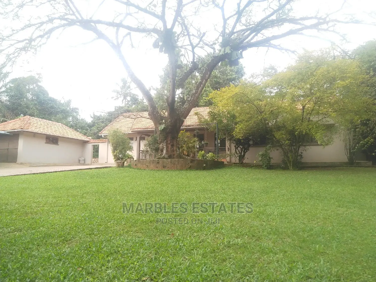 3bdrm Bungalow in Kololo, Central Division for Rent in Central Division