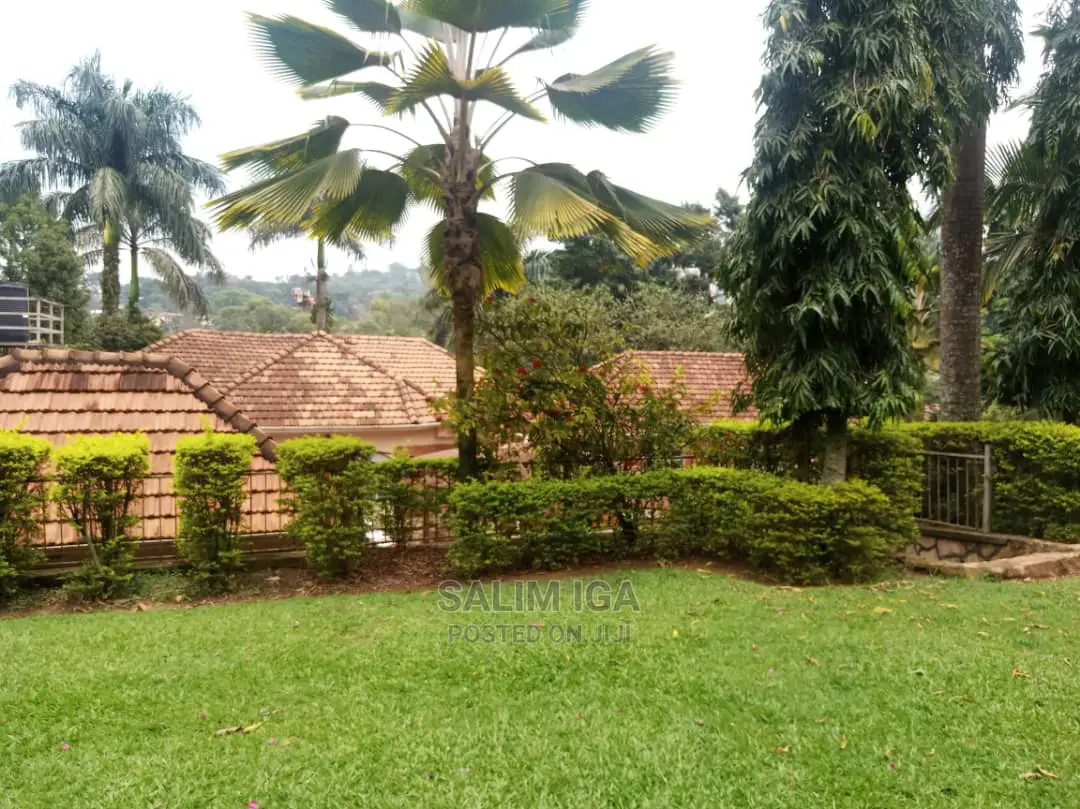 3bdrm Bungalow in Kololo Property, Central Division for Rent in Central Division