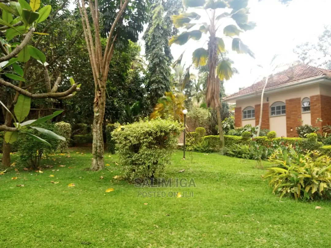 3bdrm Bungalow in Kololo Property, Central Division for Rent in Central Division