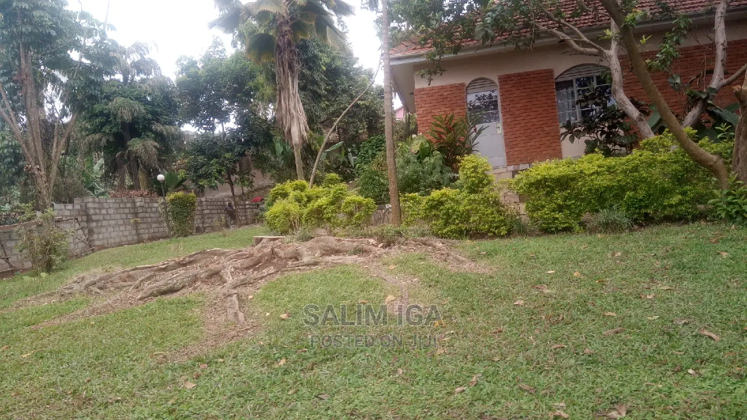 4bdrm Bungalow in Kololo Property, Central Division for Rent in Central Division
