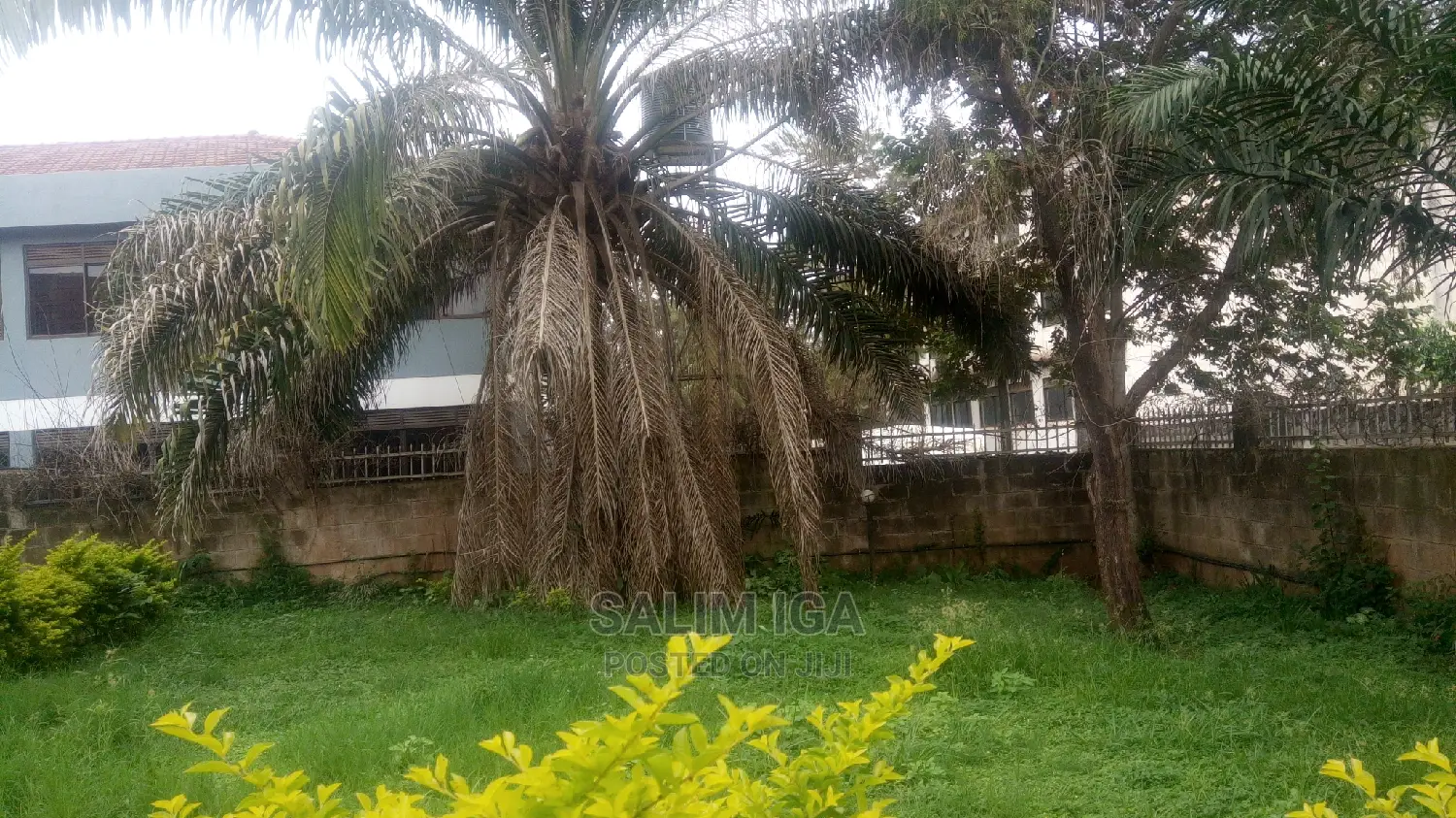 4bdrm House in Kololo Property, Central Division for Rent in Central Division