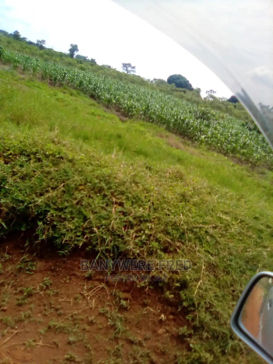 4acres of Farmland in Buntasi Kamuli in Kumi