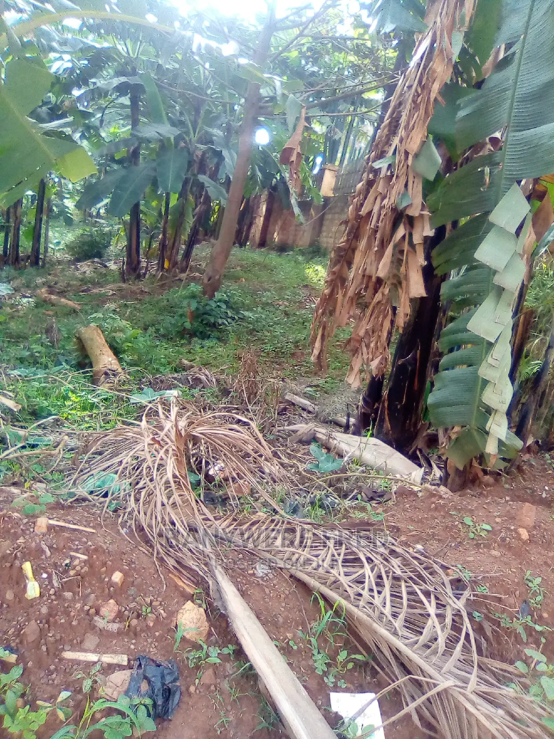 Ten Acres of Land at Namave Industrial Area on Sale in Goma