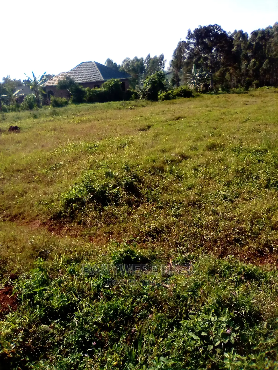 6acres of Farmland in Nakwero in Kira