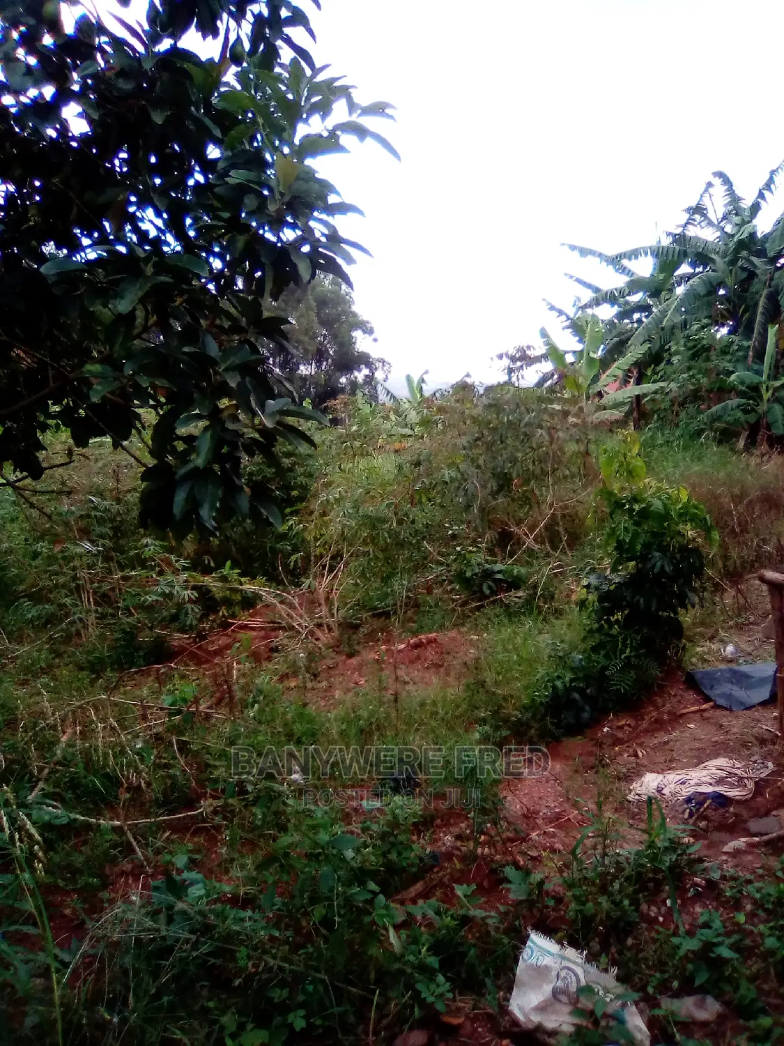 12acres of Farmland in Nama in Nama