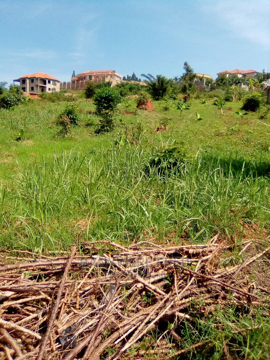 50/100 Plot for Sale in Gayaza Manyangwa in Nangabo
