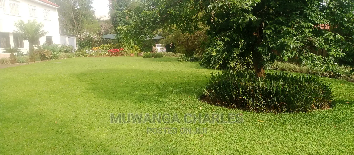 Furnished 3bdrm House in Fs Properties Ltd, Central Division for Rent in Central Division
