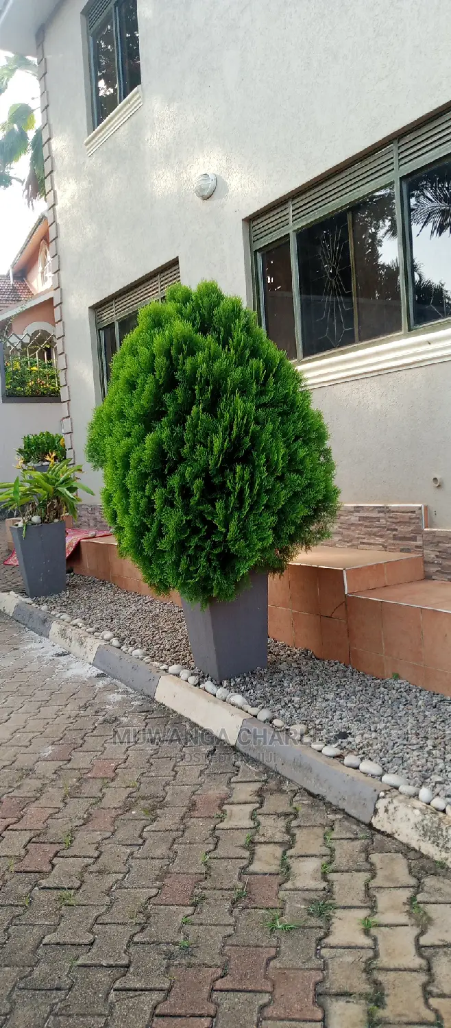 5bdrm Maisonette in Fs Properties Ltd, Central Division for Rent in Central Division
