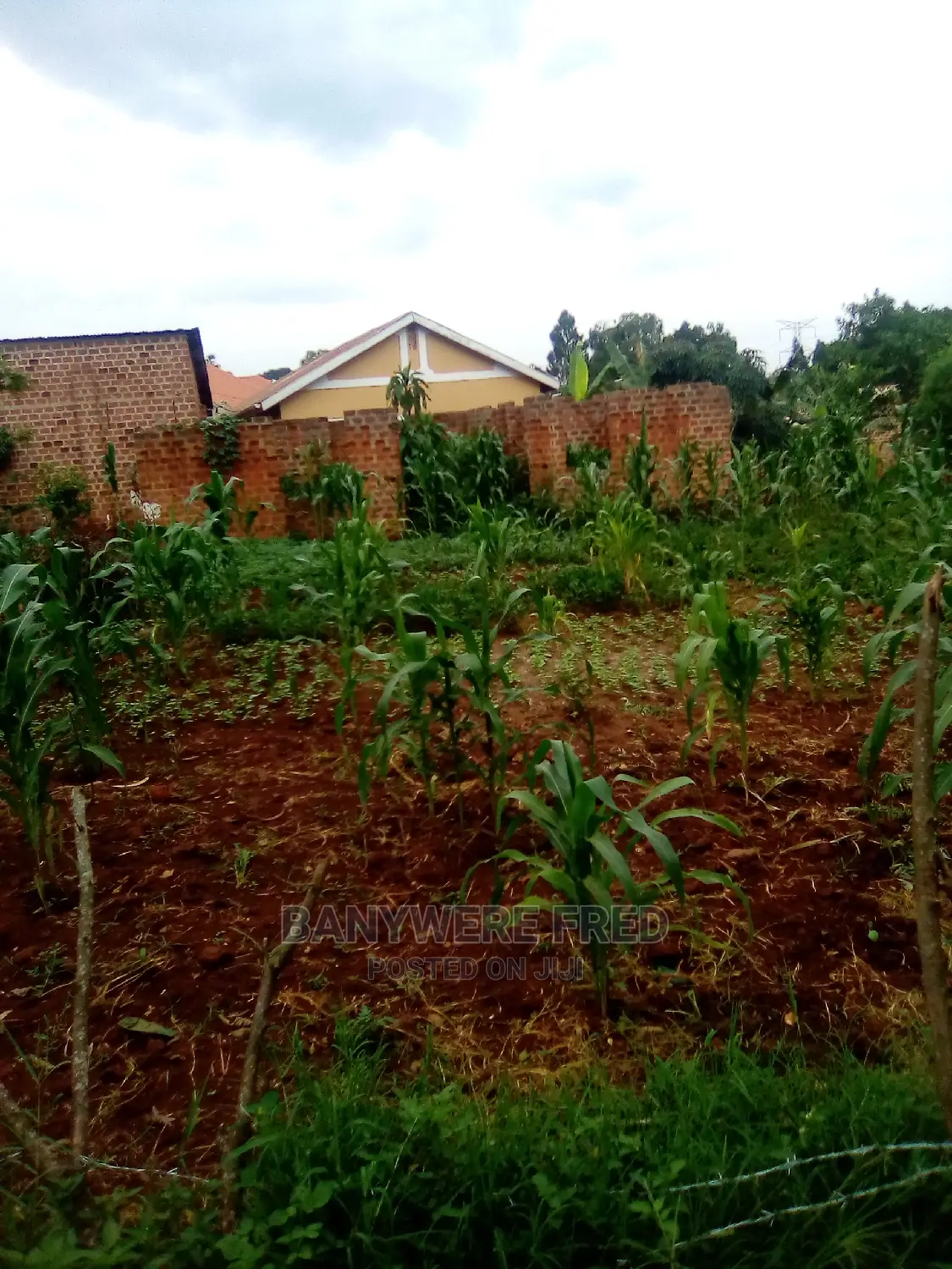 50/100 Plot for Sale in Mpigi in Mpigi TC