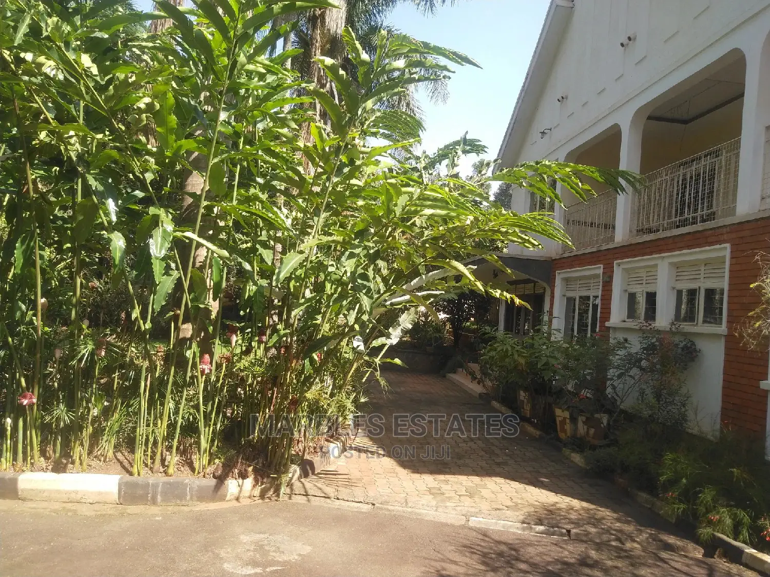 5bdrm House in Bugolobi, Central Division for Rent in Central Division