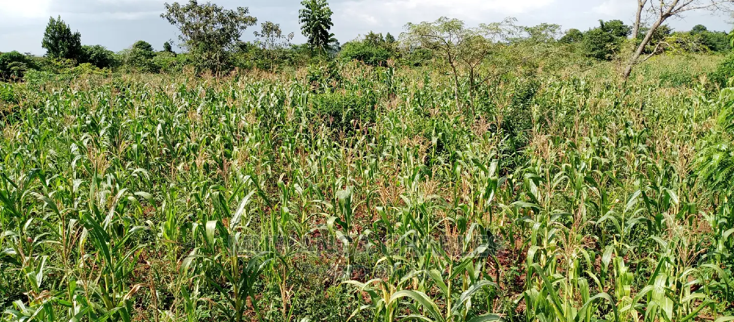 Land for Sale in Wabutungulu in Central Division
