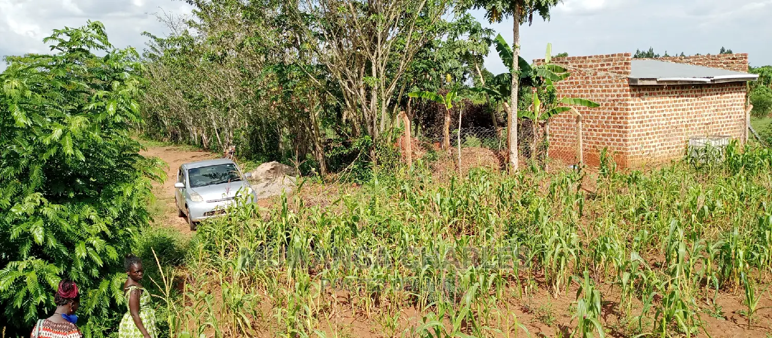 Land for Sale in Wabutungulu in Central Division