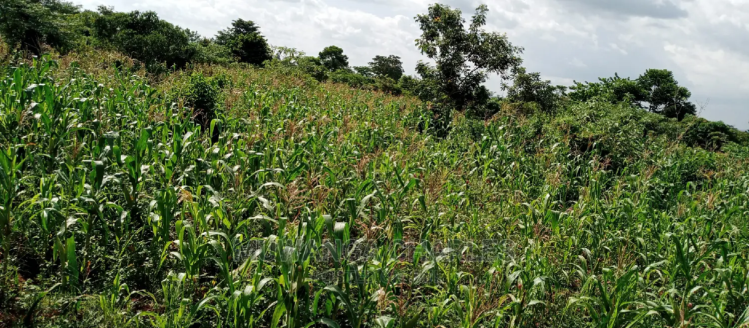 Land for Sale in Wabutungulu in Central Division