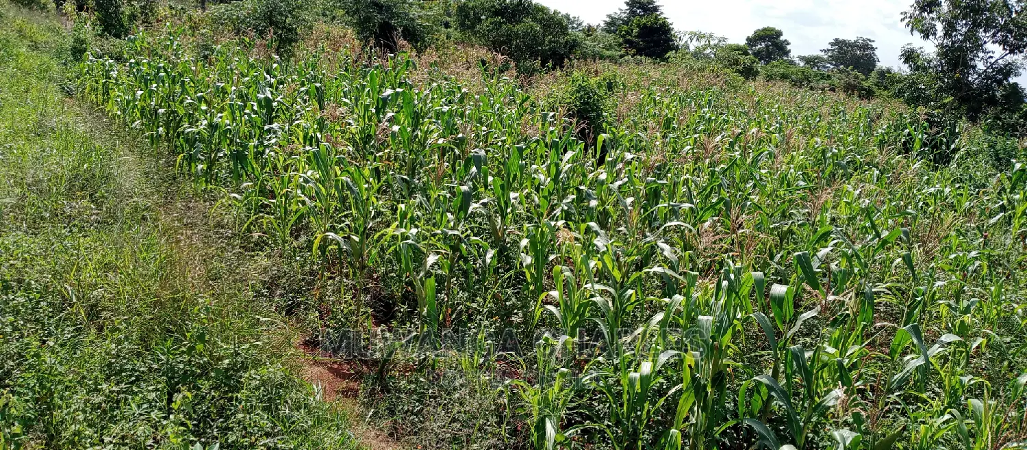 Land for Sale in Wabutungulu in Central Division