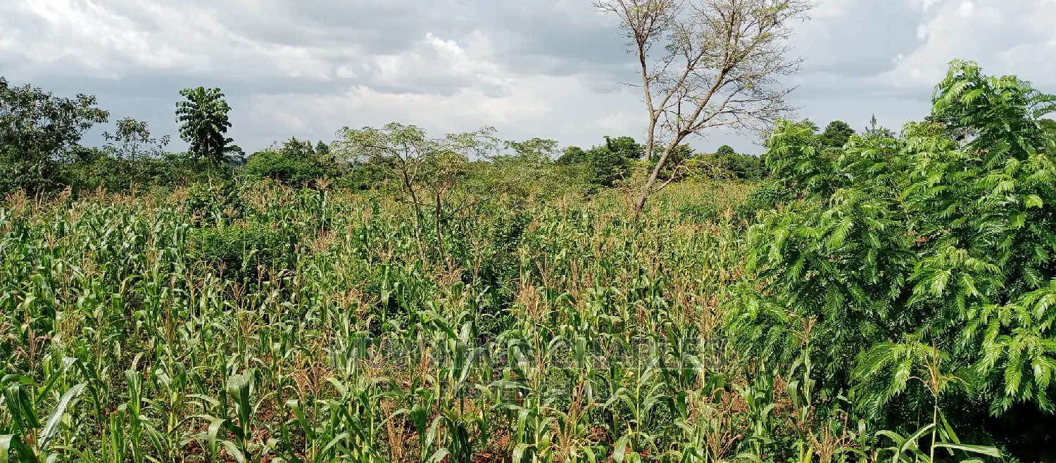 Land for Sale in Wabutungulu in Central Division