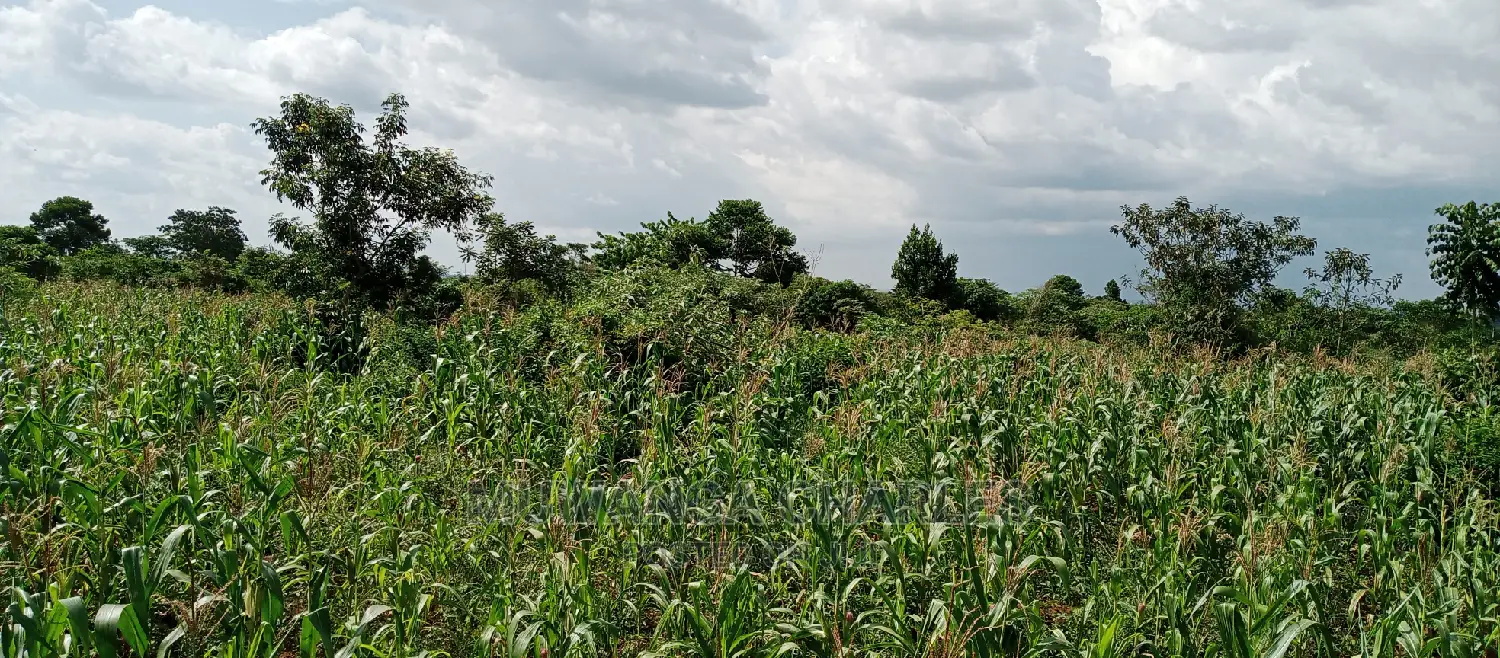 3acres for Sale in Wabutungulu in Central Division